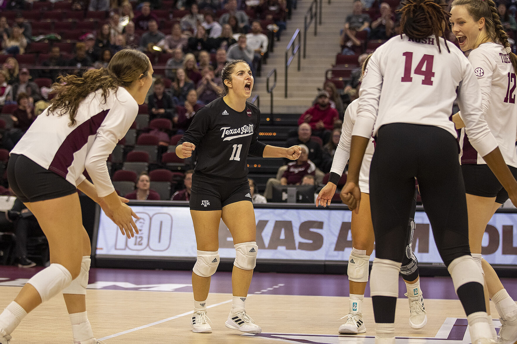 Aggie volleyball